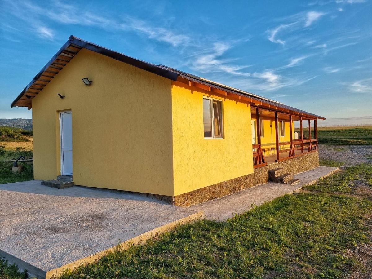 Cabana Varad Coronini Moldova Veche エクステリア 写真