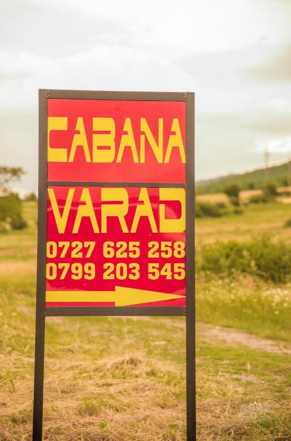 Cabana Varad Coronini Moldova Veche エクステリア 写真